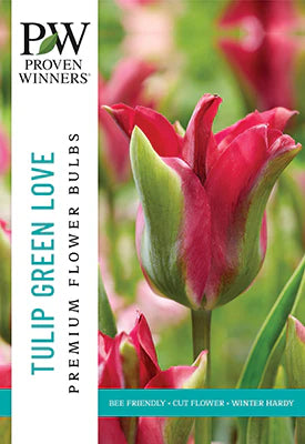 Proven Winner Spring Bulbs:  Tulip:  Tulipa Viridiflora 'Green Love'