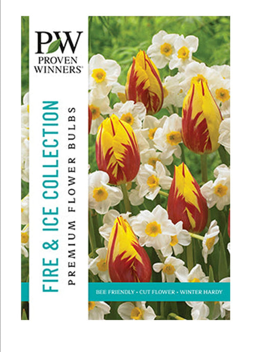 Proven Winner Spring Bulbs:  Tulip & Narcissus Mix ‘Fire & Ice’