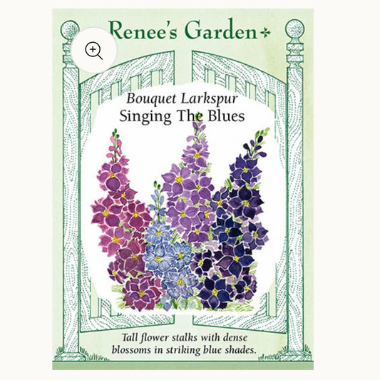 Seeds: Bouquet Larkspur  Singing the Blues