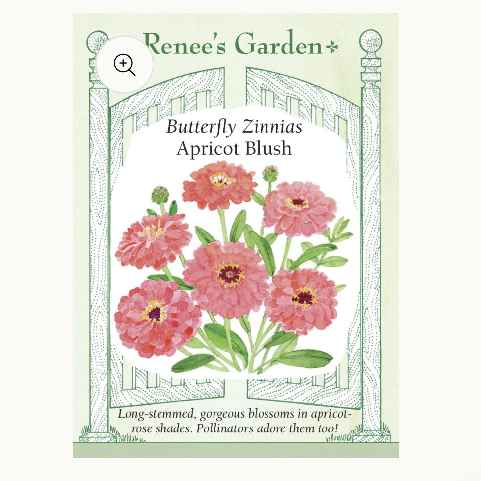 Seeds: Butterfly Zinnias  Apricot Blush