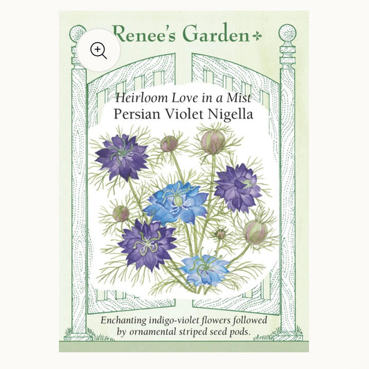 Seeds: Heirloom Love in a Mist  Persian Violet Nigella