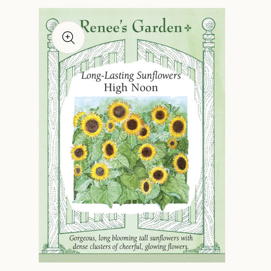 Seeds: Long-Lasting Sunflowers  High Noon