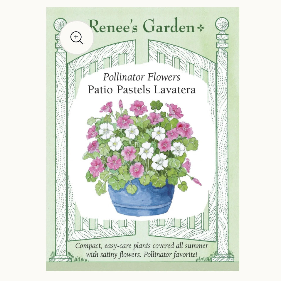 Seeds: Pollinator Flowers  Patio Pastels Lavatera