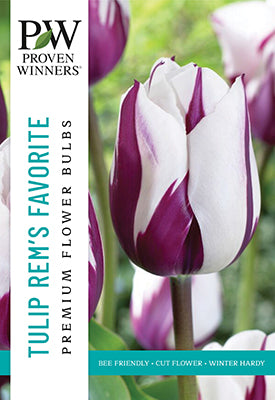 Proven Winner Spring Bulbs:  Tulip:  Rem’s Favorite