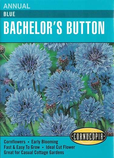 Seeds: Blue Cornflowers Bachelor's Button