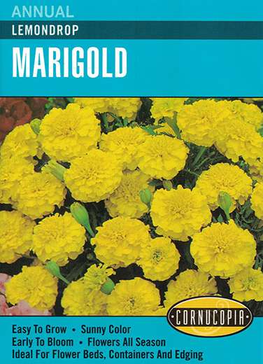 Seeds: Lemondrop Marigold