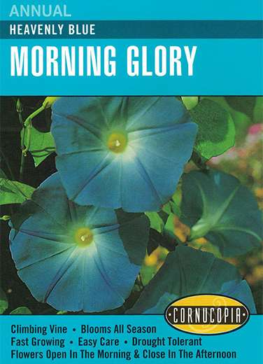 Seeds: Heavenly Blue Morning Glory